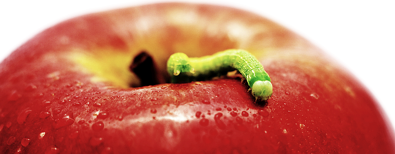 Apple, DMA, EU, A green worm on a juicy red apple