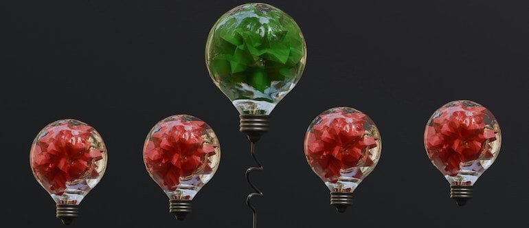 light bulbs with flowers inside.