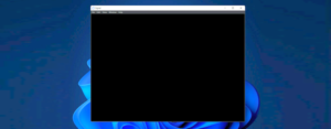 The Windows Signal window showing all black